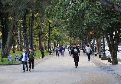 30 minutos diarios de actividad física reduce riesgos de condiciones crónicas